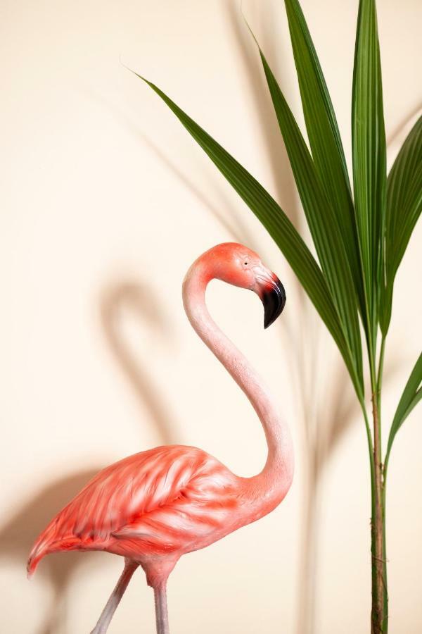 מאלגה Flamingo Apartment מראה חיצוני תמונה